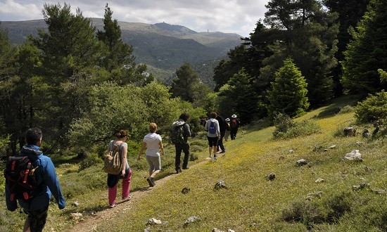&Omicron;&iota; &beta;&alpha;&sigma;&iota;&kappa;&omicron;ί &kappa;&alpha;&nu;ό&nu;&epsilon;&sigmaf; &gamma;&iota;&alpha; &tau;&eta;&nu; &omicron;&rho;&epsilon;&iota;&nu;ή &pi;&epsilon;&zeta;&omicron;&pi;&omicron;&rho;ί&alpha;
