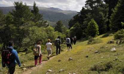 &Omicron;&iota; &beta;&alpha;&sigma;&iota;&kappa;&omicron;ί &kappa;&alpha;&nu;ό&nu;&epsilon;&sigmaf; &gamma;&iota;&alpha; &tau;&eta;&nu; &omicron;&rho;&epsilon;&iota;&nu;ή &pi;&epsilon;&zeta;&omicron;&pi;&omicron;&rho;ί&alpha;