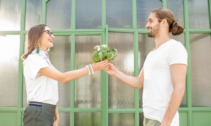 &Tau;&omicron; &pi;&rho;ά&sigma;&iota;&nu;&omicron; &lambda;&alpha;&chi;&alpha;&nu;&iota;&kappa;ό &mu;&epsilon; &tau;&eta;&nu; &sigma;&omicron;ύ&pi;&epsilon;&rho; &alpha;&nu;&tau;&iota;&kappa;&alpha;&rho;&kappa;&iota;&nu;&iota;&kappa;ή &delta;&rho;ά&sigma;&eta;