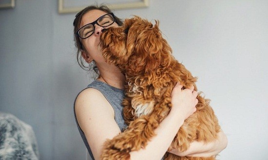 Kama muta, &tau;&omicron; &nu;έ&omicron; &sigma;&upsilon;&nu;&alpha;ί&sigma;&theta;&eta;&mu;&alpha; &pi;&omicron;&upsilon; &pi;&epsilon;&rho;&iota;έ&gamma;&rho;&alpha;&psi;&alpha;&nu; &gamma;&iota;&alpha; &pi;&rho;ώ&tau;&eta; &phi;&omicron;&rho;ά &omicron;&iota; &epsilon;&pi;&iota;&sigma;&tau;ή&mu;&omicron;&nu;&epsilon;&sigmaf;