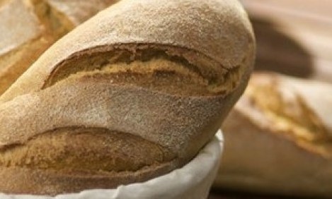 &Tau;&iota; &sigma;&upsilon;&mu;&beta;&alpha;ί&nu;&epsilon;&iota; &sigma;&tau;&omicron;&nu; &omicron;&rho;&gamma;&alpha;&nu;&iota;&sigma;&mu;ό &mu;&alpha;&sigmaf; ό&tau;&alpha;&nu; &tau;&rho;ώ&mu;&epsilon; &psi;&omega;&mu;ί