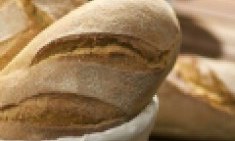 &Tau;&iota; &sigma;&upsilon;&mu;&beta;&alpha;ί&nu;&epsilon;&iota; &sigma;&tau;&omicron;&nu; &omicron;&rho;&gamma;&alpha;&nu;&iota;&sigma;&mu;ό &mu;&alpha;&sigmaf; ό&tau;&alpha;&nu; &tau;&rho;ώ&mu;&epsilon; &psi;&omega;&mu;ί