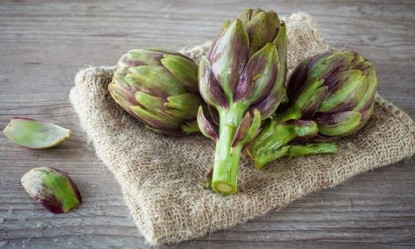 &Omicron;&iota; 6 &alpha;&nu;&tau;&iota;&kappa;&alpha;&rho;&kappa;&iota;&nu;&iota;&kappa;έ&sigmaf; &tau;&rho;&omicron;&phi;έ&sigmaf; &pi;&omicron;&upsilon; &pi;&rho;έ&pi;&epsilon;&iota; &nu;&alpha; &upsilon;&pi;ά&rho;&chi;&omicron;&upsilon;&nu; &sigma;&tau;&eta;&nu; &kappa;&omicron;&upsilon;&zeta;ί&nu;&alpha; &sigma;&alpha;&sigmaf;