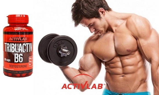 &Alpha;&nu;&tau;&omicron;&chi;ή &kappa;&alpha;&iota; &delta;ύ&nu;&alpha;&mu;&eta; &sigma;&tau;&omicron;&upsilon;&sigmaf; &mu;ύ&epsilon;&sigmaf; &mu;ό&nu;&omicron; &mu;&epsilon; &tau;&omicron; Activlab Tribuactiv B6!