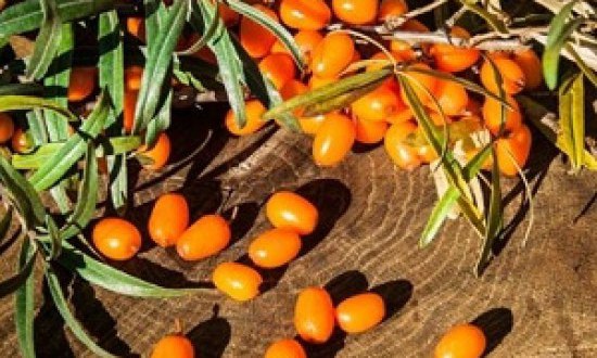 &Tau;&iota; &epsilon;ί&nu;&alpha;&iota; &tau;&omicron; &iota;&pi;&pi;&omicron;&phi;&alpha;έ&sigmaf; &kappa;&alpha;&iota; &pi;&omicron;ύ &mu;&alpha;&sigmaf; &omega;&phi;&epsilon;&lambda;&epsilon;ί