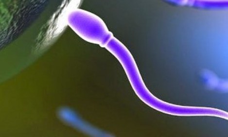 &Upsilon;&gamma;&iota;έ&sigmaf; &sigma;&pi;έ&rho;&mu;&alpha; &sigma;&epsilon; &tau;έ&sigma;&sigma;&epsilon;&rho;&alpha; &beta;ή&mu;&alpha;&tau;&alpha;