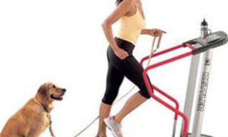 &Beta;&alpha;&sigma;&iota;&kappa;&omicron;ί &kappa;&alpha;&nu;ό&nu;&epsilon;&sigmaf; &gamma;&upsilon;&mu;&nu;&alpha;&sigma;&tau;&iota;&kappa;ή&sigmaf; &gamma;&iota;&alpha; &tau;&eta; &mu;&epsilon;ί&omega;&sigma;&eta; &lambda;ί&pi;&omicron;&upsilon;&sigmaf;