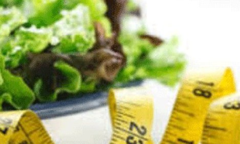 &Mu;&iota;&kappa;&rho;ά &delta;&iota;&alpha;&tau;&rho;&omicron;&phi;&iota;&kappa;ά &mu;&upsilon;&sigma;&tau;&iota;&kappa;ά &pi;&omicron;&upsilon; &theta;&alpha; &sigma;&epsilon; &beta;&omicron;&eta;&theta;ή&sigma;&omicron;&upsilon;&nu; &nu;&alpha; &kappa;ά&psi;&epsilon;&iota;&sigmaf; &lambda;ί&pi;&omicron;&sigmaf; !