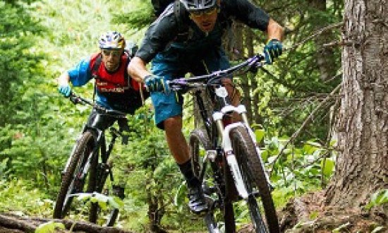 8 tips &gamma;&iota;&alpha; &tau;&eta;&nu; &kappa;&alpha;&lambda;ύ&tau;&epsilon;&rho;&eta; &pi;&omicron;&delta;&eta;&lambda;&alpha;&sigma;ί&alpha; &sigma;&tau;&omicron; &beta;&omicron;&upsilon;&nu;ό