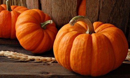 &Gamma;&iota;&alpha;&tau;ί &nu;&alpha; &epsilon;&nu;&tau;ά&xi;&epsilon;&tau;&epsilon; &tau;&eta;&nu; &kappa;&omicron;&lambda;&omicron;&kappa;ύ&theta;&alpha; &sigma;&tau;&eta; &delta;&iota;&alpha;&tau;&rho;&omicron;&phi;ή &sigma;&alpha;&sigmaf;