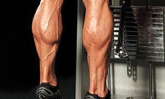 Ακροστασίες σε καθιστή VS όρθια θέση: Ποια άσκηση είναι αποτελεσματικότερη για τις γάμπες σας;