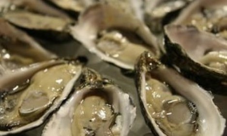 &Omicron;&iota; &delta;έ&kappa;&alpha; &tau;&rho;&omicron;&phi;έ&sigmaf; &pi;&omicron;&upsilon; &delta;&iota;ώ&chi;&nu;&omicron;&upsilon;&nu; &tau;&omicron; ά&gamma;&chi;&omicron;&sigmaf;!