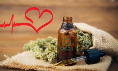 CBD &kappa;&alpha;&iota; &kappa;&alpha;&rho;&delta;&iota;&alpha;&gamma;&gamma;&epsilon;&iota;&alpha;&kappa;ά &nu;&omicron;&sigma;ή&mu;&alpha;&tau;&alpha;: &Eta; &phi;&upsilon;&sigma;&iota;&kappa;ή &omicron;&upsilon;&sigma;ί&alpha; &pi;&omicron;&upsilon; &alpha;&lambda;&lambda;ά&zeta;&epsilon;&iota; &tau;&alpha; &delta;&epsilon;&delta;&omicron;&mu;έ&nu;&alpha;