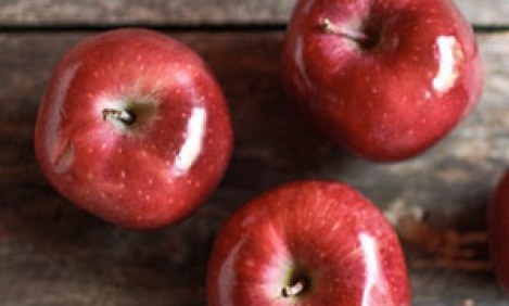 5 &lambda;ό&gamma;&omicron;&iota; &gamma;&iota;&alpha; &nu;&alpha; &phi;ά&tau;&epsilon; &tau;&omicron;&upsilon;&lambda;ά&chi;&iota;&sigma;&tau;&omicron;&nu; έ&nu;&alpha; &mu;ή&lambda;&omicron; &tau;&eta;&nu; &eta;&mu;έ&rho;&alpha;