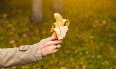 &Omicron;&iota; &delta;&iota;&alpha;&tau;&rho;&omicron;&phi;&iota;&kappa;έ&sigmaf; &alpha;&lambda;&lambda;&alpha;&gamma;έ&sigmaf; &pi;&omicron;&upsilon; &theta;&alpha; &kappa;ά&nu;&omicron;&upsilon;&nu; &tau;&eta; &sigma;&tau;ύ&sigma;&eta; &sigma;&omicron;&upsilon; &alpha;&kappa;ό&mu;&alpha; &pi;&iota;&omicron; &delta;&upsilon;&nu;&alpha;&tau;ή