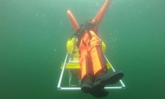 &Upsilon;&pi;&omicron;&beta;&rho;ύ&chi;&iota;&omicron; &rho;&omicron;&mu;&pi;ό&tau; &sigma;ώ&zeta;&epsilon;&iota; &kappa;&omicron;&lambda;&upsilon;&mu;&beta;&eta;&tau;έ&sigmaf; &alpha;&pi;ό &pi;&nu;&iota;&gamma;&mu;ό