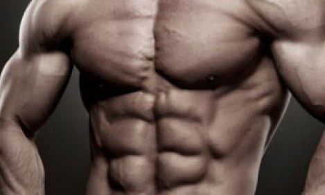 &Kappa;&omicron;&iota;&lambda;&iota;&alpha;&kappa;&omicron;ί: Έ&xi;&iota; &sigma;&upsilon;&mu;&beta;&omicron;&upsilon;&lambda;έ&sigmaf; &kappa;&alpha;&iota; έ&xi;&iota; &alpha;&sigma;&kappa;ή&sigma;&epsilon;&iota;&sigmaf; &gamma;&iota;&alpha; sixpack