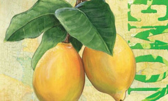 &Alpha;&upsilon;&tau;έ&sigmaf; &epsilon;ί&nu;&alpha;&iota; &omicron;&iota; 16 &epsilon;&upsilon;&epsilon;&rho;&gamma;&epsilon;&tau;&iota;&kappa;έ&sigmaf; &epsilon;&pi;&iota;&delta;&rho;ά&sigma;&epsilon;&iota;&sigmaf; &tau;&omicron;&upsilon; &lambda;&epsilon;&mu;&omicron;&nu;&iota;&omicron;ύ, &pi;&omicron;&upsilon; &sigma;ώ&zeta;&omicron;&upsilon;&nu; &zeta;&omega;έ&sigmaf;!!