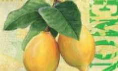 &Alpha;&upsilon;&tau;έ&sigmaf; &epsilon;ί&nu;&alpha;&iota; &omicron;&iota; 16 &epsilon;&upsilon;&epsilon;&rho;&gamma;&epsilon;&tau;&iota;&kappa;έ&sigmaf; &epsilon;&pi;&iota;&delta;&rho;ά&sigma;&epsilon;&iota;&sigmaf; &tau;&omicron;&upsilon; &lambda;&epsilon;&mu;&omicron;&nu;&iota;&omicron;ύ, &pi;&omicron;&upsilon; &sigma;ώ&zeta;&omicron;&upsilon;&nu; &zeta;&omega;έ&sigmaf;!!