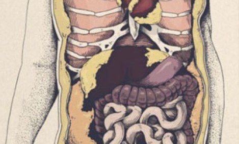 &Chi;&Alpha;&Rho;&Tau;&Eta;&Sigma; &Gamma;&Iota;&Alpha; &Nu;&Alpha; &Kappa;&Alpha;&Psi;&Epsilon;&Iota;&Sigma; &Lambda;&Iota;&Pi;&Omicron;&Sigma;