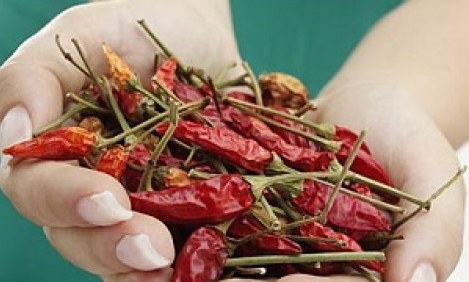 &Tau;&rho;&omicron;&phi;έ&sigmaf; &pi;&omicron;&upsilon; &beta;&omicron;&eta;&theta;&omicron;ύ&nu; &sigma;&tau;&eta;&nu; &kappa;&alpha;ύ&sigma;&eta; &tau;&omicron;&upsilon; &sigma;&omega;&mu;&alpha;&tau;&iota;&kappa;ό &lambda;ί&pi;&omicron;&upsilon;&sigmaf;