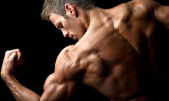 &Phi;&Alpha;&Sigma;&Eta; 1: &Kappa;&Alpha;&Upsilon;&Sigma;&Eta; &Lambda;&Iota;&Pi;&Omicron;&Upsilon;&Sigma;