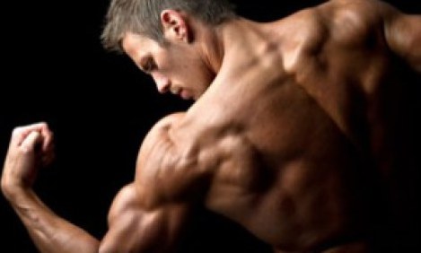 &Phi;&Alpha;&Sigma;&Eta; 1: &Kappa;&Alpha;&Upsilon;&Sigma;&Eta; &Lambda;&Iota;&Pi;&Omicron;&Upsilon;&Sigma;