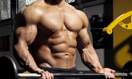 &Sigma;&upsilon;&mu;&beta;&omicron;&upsilon;&lambda;έ&sigmaf; &tau;&epsilon;&rho;&alpha;&tau;ώ&delta;&omicron;&upsilon;&sigmaf; &mu;&upsilon;ϊ&kappa;ή&sigmaf; &mu;&epsilon;&tau;&alpha;&mu;ό&rho;&phi;&omega;&sigma;&eta;&sigmaf;