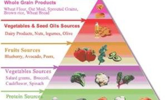 &Eta; &delta;ί&alpha;&iota;&tau;&alpha; Atkins