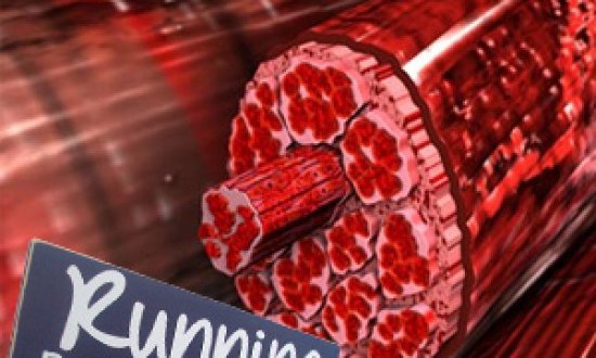 Αντίστροφο Φορμάρισμα (για Μαραθώνιο και όχι μόνο)