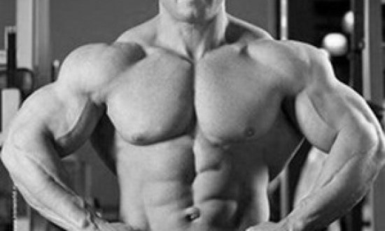 &Pi;&rho;ά&gamma;&mu;&alpha;&tau;&alpha; &pi;&omicron;&upsilon; &delta;&epsilon;&nu; &kappa;ά&nu;&epsilon;&iota; &pi;&omicron;&tau;έ έ&nu;&alpha;&sigmaf; &sigma;&omega;&sigma;&tau;ό&sigmaf; bodybuilder