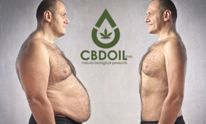 CBD &kappa;&alpha;&iota; &pi;&alpha;&chi;&upsilon;&sigma;&alpha;&rho;&kappa;ί&alpha;: &Eta; &phi;&upsilon;&sigma;&iota;&kappa;ή &omicron;&upsilon;&sigma;ί&alpha; &pi;&omicron;&upsilon; &alpha;&lambda;&lambda;ά&zeta;&epsilon;&iota; &zeta;&omega;έ&sigmaf;!