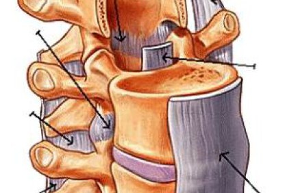 &Omicron;&sigma;&phi;&upsilon;&alpha;&lambda;&gamma;ί&alpha;: &Alpha;&iota;&tau;&iota;&omicron;&lambda;&omicron;&gamma;ί&alpha; &kappa;&alpha;&iota; &Phi;&upsilon;&sigma;&iota;&kappa;&omicron;&theta;&epsilon;&rho;&alpha;&pi;&epsilon;&upsilon;&tau;&iota;&kappa;ή &Alpha;&pi;&omicron;&kappa;&alpha;&tau;ά&sigma;&tau;&alpha;&sigma;&eta; &tau;&omicron;&upsilon; &Kappa;.&Rho;&omicron;&tau;&zeta;ί&omega;&kappa;&omicron;&upsilon;