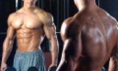 &Tau;&alpha; &alpha;&mu;&iota;&nu;&omicron;&xi;έ&alpha; &delta;&iota;&alpha;&kappa;&lambda;&alpha;&delta;&iota;&sigma;&mu;έ&nu;&eta;&sigmaf; &pi;&lambda;&epsilon;&upsilon;&rho;&iota;&kappa;ή&sigmaf; &alpha;&lambda;&upsilon;&sigma;ί&delta;&alpha;&sigmaf; &mu;&epsilon;&iota;ώ&nu;&omicron;&upsilon;&nu; &tau;&eta; &mu;&upsilon;ϊ&kappa;ή &beta;&lambda;ά&beta;&eta;