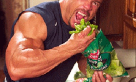 &Alpha;&lambda;&kappa;&alpha;&lambda;&iota;&kappa;ή &delta;ί&alpha;&iota;&tau;&alpha;: &Mu;ύ&theta;&omicron;&sigmaf; ή &pi;&rho;&alpha;&gamma;&mu;&alpha;&tau;&iota;&kappa;ό&tau;&eta;&tau;&alpha;;