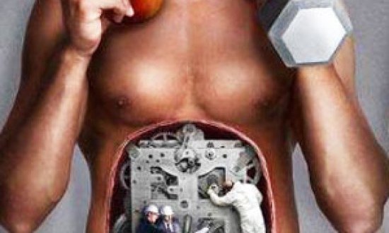 Πώς αποθηκεύεται το λίπος ;