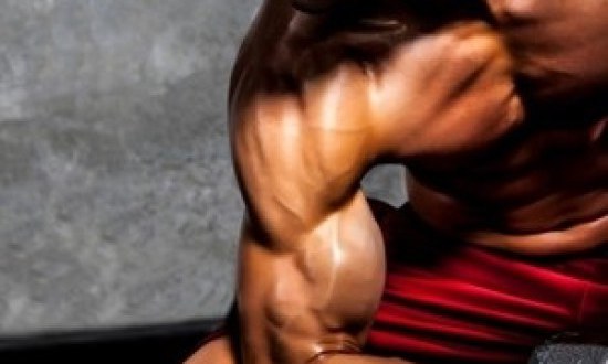 &Tau;&iota; &pi;&rho;έ&pi;&epsilon;&iota; &nu;&alpha; έ&chi;&epsilon;&iota; &eta; &tau;&sigma;ά&nu;&tau;&alpha; &sigma;&omicron;&upsilon; &gamma;&iota;&alpha; &tau;&omicron; &gamma;&upsilon;&mu;&nu;&alpha;&sigma;&tau;ή&rho;&iota;&omicron;!