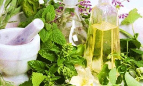 12 &beta;ό&tau;&alpha;&nu;&alpha; &gamma;&iota;&alpha; &kappa;ά&psi;&iota;&mu;&omicron; &lambda;ί&pi;&omicron;&upsilon;&sigmaf; &kappa;&alpha;&lambda;ύ&tau;&epsilon;&rho;&alpha; &kappa;&alpha;&iota; &alpha;&pi;ό &gamma;&upsilon;&mu;&nu;&alpha;&sigma;&tau;ή&rho;&iota;&omicron; !!!