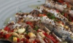 &Omicron;&iota; &tau;&rho;&omicron;&phi;έ&sigmaf; &pi;&omicron;&upsilon; &delta;&epsilon;&nu; ή&xi;&epsilon;&rho;&epsilon;&sigmaf; ό&tau;&iota; έ&chi;&omicron;&upsilon;&nu; &alpha;&sigma;&beta;έ&sigma;&tau;&iota;&omicron;