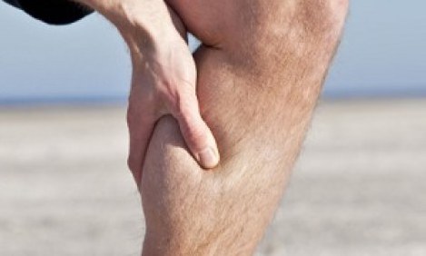 &Kappa;&rho;ά&mu;&pi;&epsilon;&sigmaf;: &Tau;&iota; &upsilon;&pi;&omicron;&delta;&epsilon;&iota;&kappa;&nu;ύ&omicron;&upsilon;&nu; &kappa;&alpha;&iota; &tau;&iota; &nu;&alpha; &phi;ά&tau;&epsilon; &gamma;&iota;&alpha; &nu;&alpha; &sigma;&alpha;&sigmaf; &pi;&epsilon;&rho;ά&sigma;&omicron;&upsilon;&nu;