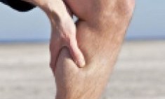 &Kappa;&rho;ά&mu;&pi;&epsilon;&sigmaf;: &Tau;&iota; &upsilon;&pi;&omicron;&delta;&epsilon;&iota;&kappa;&nu;ύ&omicron;&upsilon;&nu; &kappa;&alpha;&iota; &tau;&iota; &nu;&alpha; &phi;ά&tau;&epsilon; &gamma;&iota;&alpha; &nu;&alpha; &sigma;&alpha;&sigmaf; &pi;&epsilon;&rho;ά&sigma;&omicron;&upsilon;&nu;