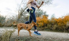 To Canicross &epsilon;ί&nu;&alpha;&iota; &eta; &kappa;&alpha;&lambda;ύ&tau;&epsilon;&rho;&eta; &pi;&rho;&omicron;&pi;ό&nu;&eta;&sigma;&eta; &gamma;&iota;&alpha; &sigma;έ&nu;&alpha; &kappa;&alpha;&iota; &tau;&omicron;&nu; &sigma;&kappa;ύ&lambda;&omicron; &sigma;&omicron;&upsilon;