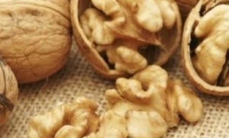 &Gamma;&iota;&alpha;&tau;ί &pi;&rho;έ&pi;&epsilon;&iota; &nu;&alpha; &tau;&rho;ώ&mu;&epsilon; 7 &kappa;&alpha;&rho;ύ&delta;&iota;&alpha; &tau;&eta;&nu; &eta;&mu;έ&rho;&alpha;;