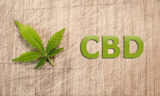 &Pi;&omicron;&iota;&omicron;&iota; &pi;&rho;έ&pi;&epsilon;&iota; &nu;&alpha; &pi;&alpha;ί&rho;&nu;&omicron;&upsilon;&nu; &kappa;&alpha;&nu;&nu;&alpha;&beta;&iota;&delta;&iota;ό&lambda;&eta;;