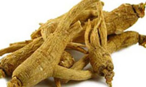 &Tau;&iota; &kappa;ά&nu;&epsilon;&iota; &tau;&omicron; &Tau;&zeta;ί&nu;&sigma;&epsilon;&nu;&gamma;&kappa; &tau;ό&sigma;&omicron; &delta;&eta;&mu;&omicron;&phi;&iota;&lambda;έ&sigmaf;;