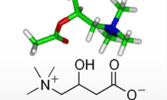Τί είναι η καρνιτίνη και πως δρά στο αδυνάτισμα