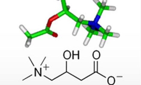 &Tau;ί &epsilon;ί&nu;&alpha;&iota; &eta; &kappa;&alpha;&rho;&nu;&iota;&tau;ί&nu;&eta; &kappa;&alpha;&iota; &pi;&omega;&sigmaf; &delta;&rho;ά &sigma;&tau;&omicron; &alpha;&delta;&upsilon;&nu;ά&tau;&iota;&sigma;&mu;&alpha;