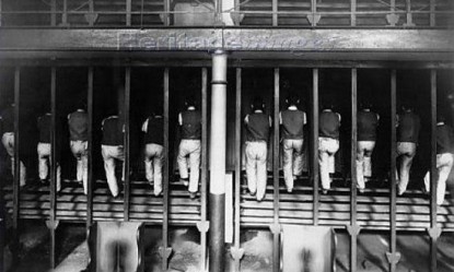 &Tau;&omicron; ό&rho;&gamma;&alpha;&nu;&omicron; &gamma;&upsilon;&mu;&nu;&alpha;&sigma;&tau;&iota;&kappa;ή&sigmaf; &pi;&omicron;&upsilon; ή&tau;&alpha;&nu; &kappa;ά&pi;&omicron;&tau;&epsilon;... &tau;&iota;&mu;&omega;&rho;ί&alpha; &gamma;&iota;&alpha; &tau;&omicron;&upsilon;&sigmaf; &phi;&upsilon;&lambda;&alpha;&kappa;&iota;&sigma;&mu;έ&nu;&omicron;&upsilon;&sigmaf;!