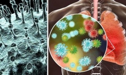 &Tau;&iota; &kappa;ά&nu;&epsilon;&iota; &alpha;&kappa;&rho;&iota;&beta;ώ&sigmaf; &omicron; &kappa;&omicron;&rho;&omega;&nu;&omicron;ϊό&sigmaf; &sigma;&tau;&omicron; &sigma;ώ&mu;&alpha;;