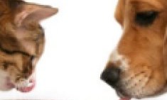 &Delta;&iota;&alpha;&tau;&rho;&omicron;&phi;ή &tau;&omega;&nu; &kappa;&alpha;&tau;&omicron;&iota;&kappa;ί&delta;&iota;&omega;&nu; &zeta;ώ&omega;&nu;